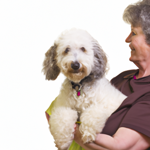 Kennel attendant job description Smartbrain Blog